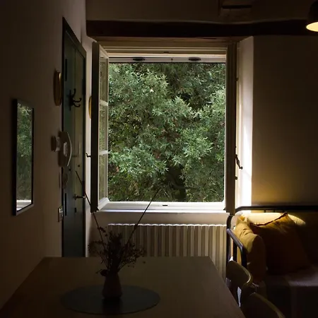 公寓 La Finestra Sul Parco 卢卡